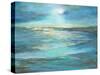 Moonlight Reef-Sheila Finch-Stretched Canvas