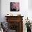 Moonlight & Roses I-Monika Burkhart-Photo displayed on a wall