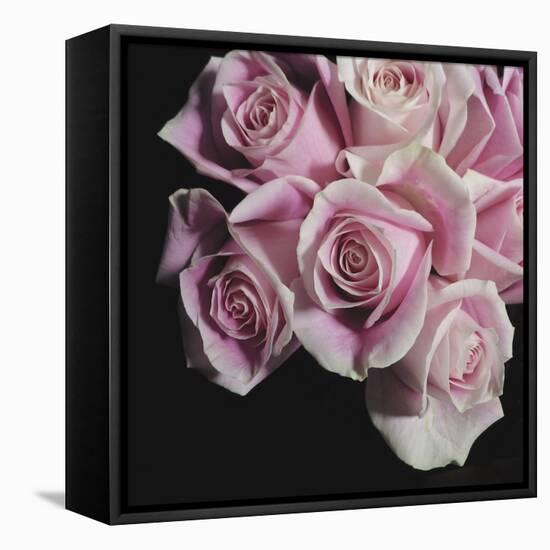 Moonlight & Roses I-Monika Burkhart-Framed Stretched Canvas