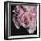 Moonlight & Roses I-Monika Burkhart-Framed Photo