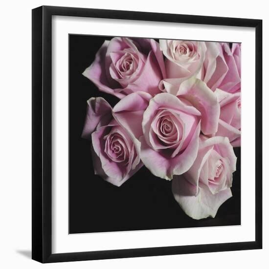 Moonlight & Roses I-Monika Burkhart-Framed Photo