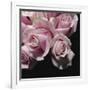 Moonlight & Roses II-Monika Burkhart-Framed Photo