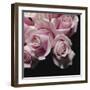 Moonlight & Roses II-Monika Burkhart-Framed Photographic Print