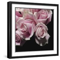 Moonlight & Roses II-Monika Burkhart-Framed Photographic Print