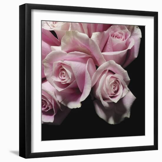 Moonlight & Roses II-Monika Burkhart-Framed Photographic Print