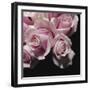 Moonlight & Roses II-Monika Burkhart-Framed Photographic Print