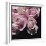 Moonlight & Roses II-Monika Burkhart-Framed Photographic Print