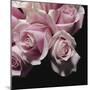 Moonlight & Roses II-Monika Burkhart-Mounted Photo