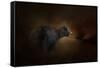 Moonlight Run-Jai Johnson-Framed Stretched Canvas