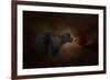 Moonlight Run-Jai Johnson-Framed Giclee Print