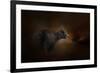 Moonlight Run-Jai Johnson-Framed Giclee Print