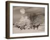 MOONLIGHT RUNNERS-null-Framed Art Print