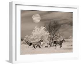 MOONLIGHT RUNNERS-null-Framed Art Print