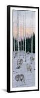 Moonlight Serenade-Jeff Tift-Framed Premium Giclee Print