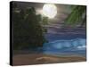 Moonlight Shines Down On the Beach During the Night of a Full Moon-Stocktrek Images-Stretched Canvas