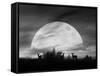 Moonlight Silhouette, Farmington Hills, Michigan '12-Monte Nagler-Framed Stretched Canvas