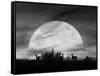 Moonlight Silhouette, Farmington Hills, Michigan '12-Monte Nagler-Framed Stretched Canvas