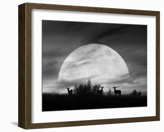 Moonlight Silhouette, Farmington Hills, Michigan '12-Monte Nagler-Framed Photographic Print