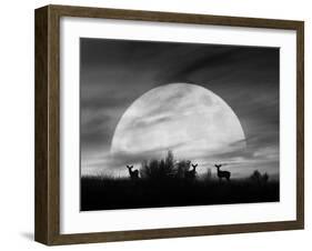 Moonlight Silhouette, Farmington Hills, Michigan '12-Monte Nagler-Framed Photographic Print