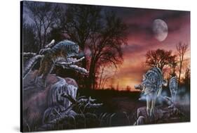 Moonlight Trackers-Gordon Semmens-Stretched Canvas