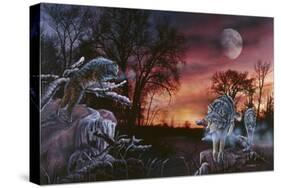 Moonlight Trackers-Gordon Semmens-Stretched Canvas