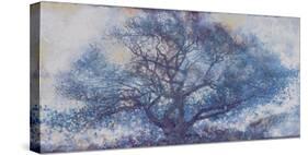 Moonlight Tree-Georges Generali-Stretched Canvas