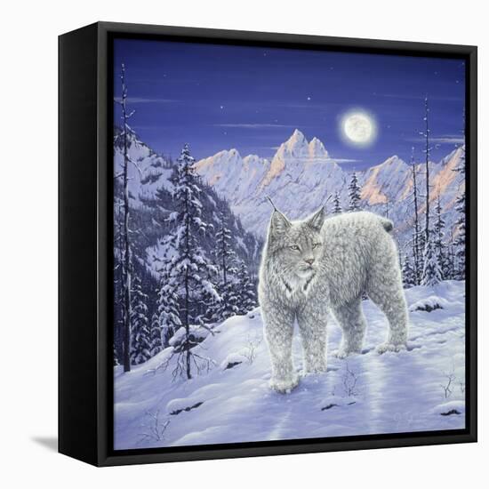 Moonlight Wilderness-Jeff Tift-Framed Stretched Canvas