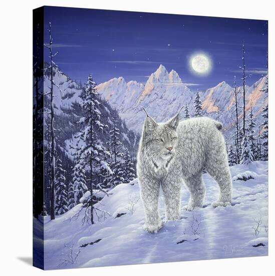 Moonlight Wilderness-Jeff Tift-Stretched Canvas