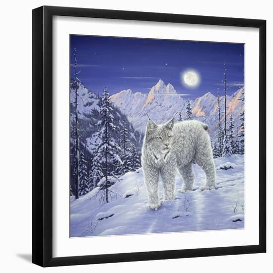 Moonlight Wilderness-Jeff Tift-Framed Premium Giclee Print