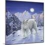 Moonlight Wilderness-Jeff Tift-Mounted Premium Giclee Print