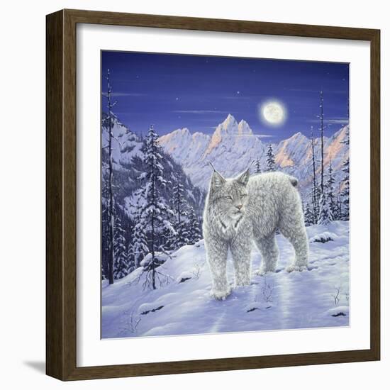 Moonlight Wilderness-Jeff Tift-Framed Giclee Print