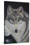 Moonlight Wolf-Sue Clyne-Stretched Canvas