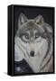 Moonlight Wolf-Sue Clyne-Framed Stretched Canvas