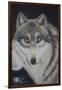 Moonlight Wolf-Sue Clyne-Framed Giclee Print