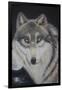 Moonlight Wolf-Sue Clyne-Framed Giclee Print