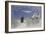 Moonlight-Peter Szumowski-Framed Premium Giclee Print