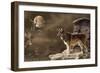 Moonlighter 2-Gordon Semmens-Framed Photographic Print