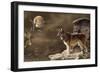 Moonlighter 2-Gordon Semmens-Framed Photographic Print