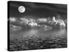 Moonlit Beauty-marilyna-Stretched Canvas