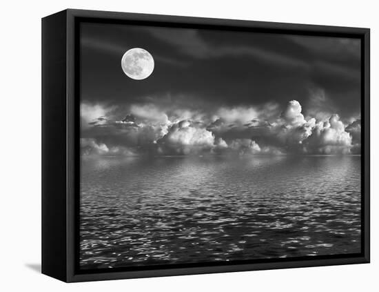 Moonlit Beauty-marilyna-Framed Stretched Canvas