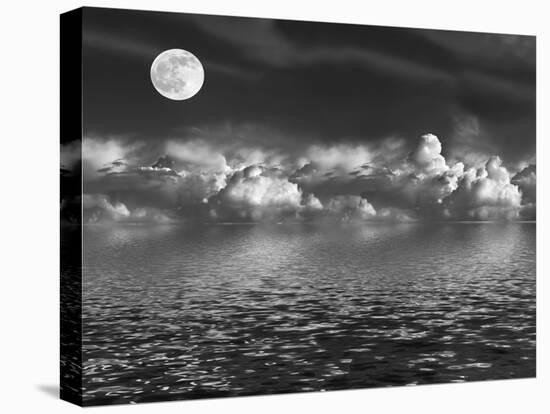 Moonlit Beauty-marilyna-Stretched Canvas