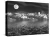 Moonlit Beauty-marilyna-Stretched Canvas