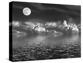 Moonlit Beauty-marilyna-Stretched Canvas