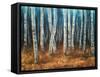 Moonlit Birchwood-Walt Johnson-Framed Stretched Canvas