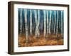 Moonlit Birchwood-Walt Johnson-Framed Art Print