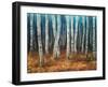 Moonlit Birchwood-Walt Johnson-Framed Art Print