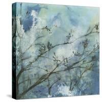 Moonlit Branches I-Jennifer Goldberger-Stretched Canvas