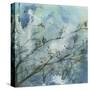 Moonlit Branches I-Jennifer Goldberger-Stretched Canvas