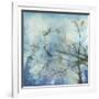 Moonlit Branches II-Jennifer Goldberger-Framed Art Print