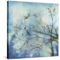 Moonlit Branches II-Jennifer Goldberger-Stretched Canvas